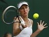 Lucie Smitková krajance Lucii afáové v osmifinále Wimbledonu dlouho...