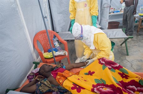 Lékai peují o mue nakaeného ebolou (ilustraní snímek).