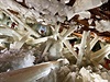 Jeskyn Naica v Mexiku je pokryta a 15 metr dlouhými krystaly