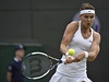 Lucie afáová se ve tvrtfinále Wimbledonu bije proti Jekatrin Makarovové.