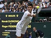 Novak Djokovi ve finále Wimbledonu 2014.