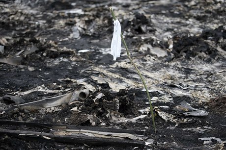 Bílá vlajka odkazuje na místo zbytk tl po pádu malajského letadla