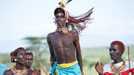 Bojovníci kmene Samburu mají dodnes pedevím povinnost chránit stáda ped...