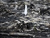 Bílá vlajka odkazuje na místo zbytk tl po pádu malajského letadla