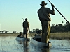 Odhaduje se, e v celém rozsáhlém území delty Okavango se pohybuje nkolik set...