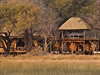 Xudum lodge. Delta Okavango.