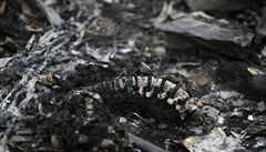 Ohoelé kosti na míst tragédie u msta Grabovo v Donckém regionu