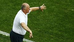 Trenér Brazílie Luiz Felipe Scolar ud�luje pokyny svým sv��enc�m.