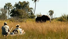 Delta Okavango byla zapsána na seznam UNESCO