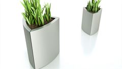 Kv�tiná�e od studia Novague