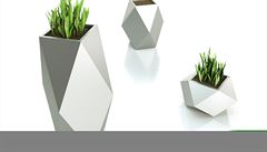 Kv�tiná�e od studia Novague