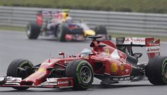 Fernando Alonso na Hungaroringu.