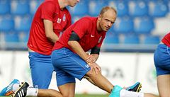Mladoboleslavský fotbalista David Jarolím.