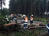 Popadané stromy v Sei u Lipové na Prostjovsku odstraovalo 3. srpna po silném...