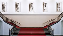 Bohyn� i teroristky. Helmut Newton celý �ivot vzhlí�el k mocným �enám. Na...