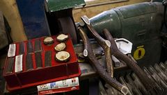 Nápad provozního �editele Franti�ka �trauba, inspirovaného snem o zlaté rybce,...