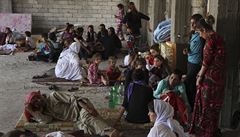 Boje mezi iráckými jednotkami a islamisty vyhnaly z domovů desítky tisíc lidí....