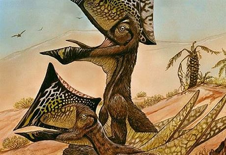 V Brazílii nali nový druh pterosaur