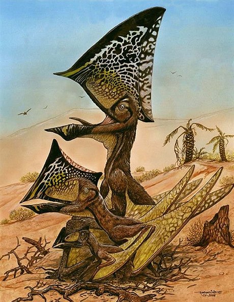 V Brazílii našli nový druh pterosaurů