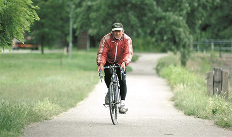 Na Labské cyklostezce výrazn pevaují rezidenti, tedy cyklisté, kteí mají...