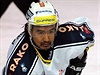 Japonský hokejista Junji Sakata v dresu Plzn.