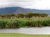Krajina na dn kráteru Ngorongoro má mnoho podob. Rozhodn to není ádná...