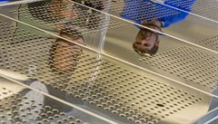 Budoucnost centra je zatím otevená, uvaovalo se i o jeho zruení. Jeho provoz...