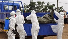 Začněte aktivně bojovat v Africe proti ebole, vyzývají Česko Lékaři bez hranic