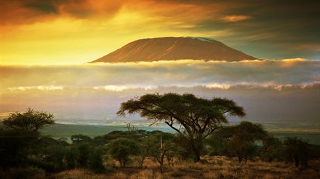 Kilimandáro je symbolem Afriky.