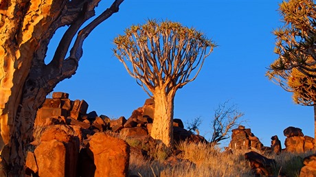 Divoká krajina v Namibii dostane pi západu slunce dalí rozmr.