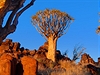 Divoká krajina v Namibii dostane pi západu slunce dalí rozmr.