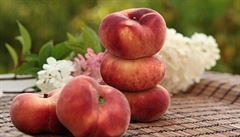 �erstv�, aromatick� a ��avnat� broskve jsou pro p��pravu nezbytnost�.