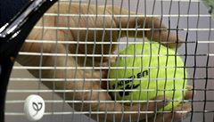 Momentka ze zápasu Novaka Djokovie.