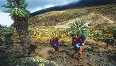 Nádherný úsek výstupu. Vesovit.