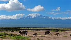 Na podobný zábr se musí dlouho ekat, nebo musí mít lovk tstí.