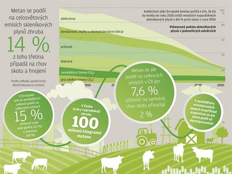 Emisní' krávy potřebují dietu. Vědci zjišťují, jak omezit jejich plynatost  | Byznys | Lidovky.cz
