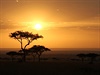 Africké západy slunce..