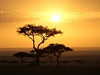 Africké západy slunce jsou dokonalé