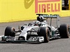 Lewis Hamilton p�i pr�jezdu cílem.