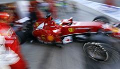 Fernando Alonso.