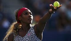 Tenistka Williamsová kritizovala Tarpiščeva za sexismus a rasismus