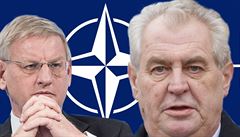 Švédský ministr zahraničí Carl Bildt a český prezident Miloš Zeman se na...