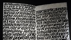 Z výstavy Josefa Váchala Magie hledání Dom� U Kamenného zvonu