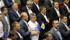 Ukrajinští poslanci.
