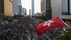 Chceme demokratick volby, demonstruj v Hongkongu. Zashne na?