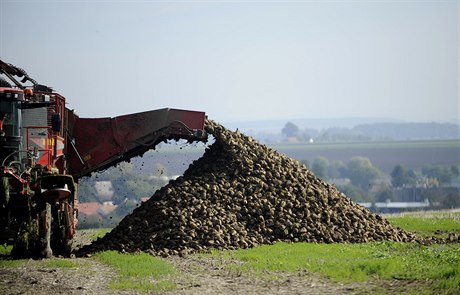 V Pardubickém kraji zaala sklize cukrové epy. Zatím se zdá, e s cukrovkou...