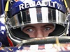 Max Verstappen za volantem formule.