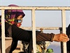 Kurdská uprchlice z pohraniního msta Kobani na hranicích Sýrie a Turecka.