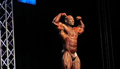 �ty�ia�ty�icetiletý Dexter Jackson získal v kategorii open st�íbro.