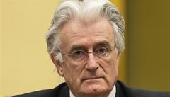 Karadžić očekává, že ho soudci v Haagu zprostí všech obvinění 